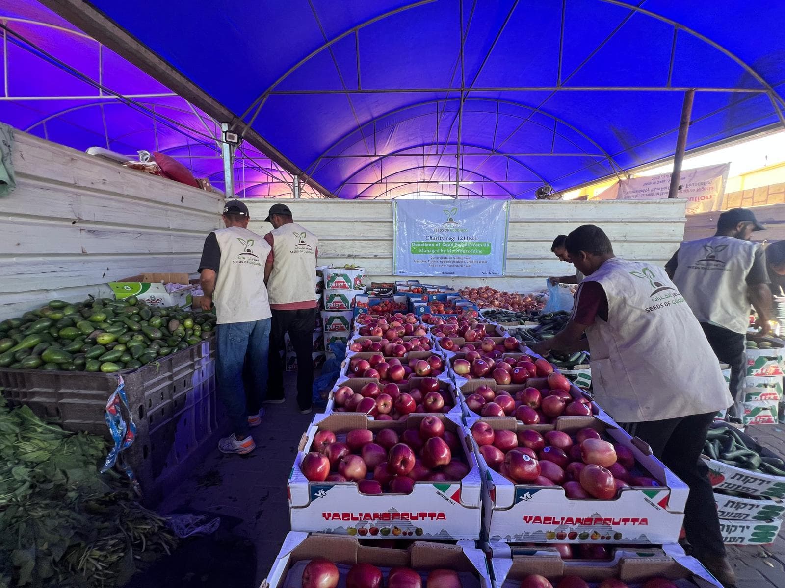 Fresh Fruit Distribution Project